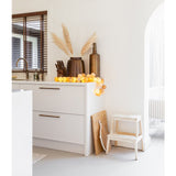 Lichtslinger - Teddy + Adapter image 6