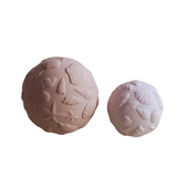 Natruba Sensorische Ballen Set - Sea Shell image 0