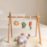 Babiem Houten Babygym George