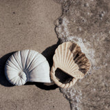 Natruba Badspeelgoed Bijtspeelgoed Nautilus & Shell