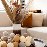 Lichtslinger - Teddy + Adapter image 3